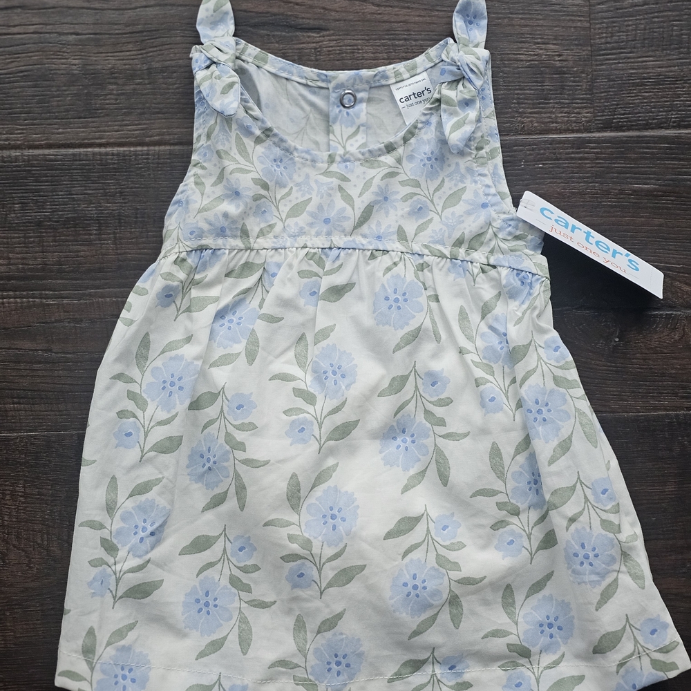 Carter's Light Blue and Green Floral Dress